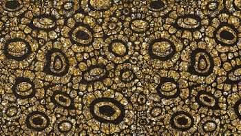 African floral pattern desktop wallpaper, | Free Photo - rawpixel