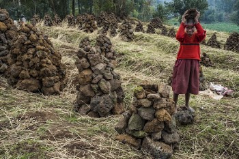 African girl collecting lava rocks, | Free Photo - rawpixel