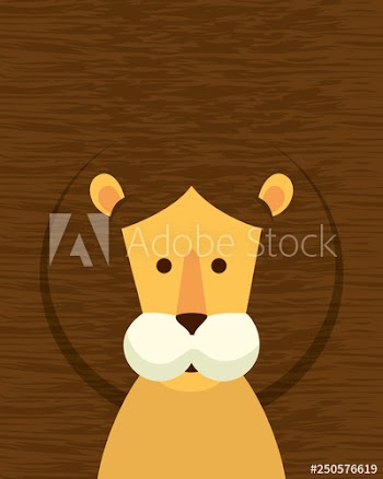 african lion wild animal