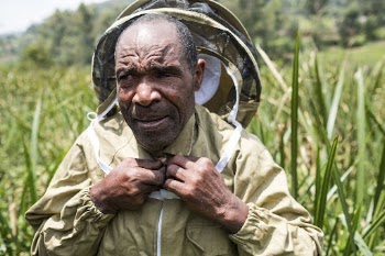 African man wearing beekeeping suit, | Free Photo - rawpixel