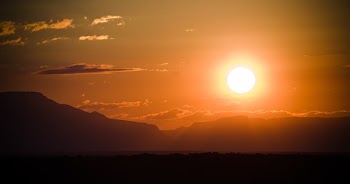 African Safari Sunset