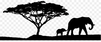 African Sunset Safari - Africa 