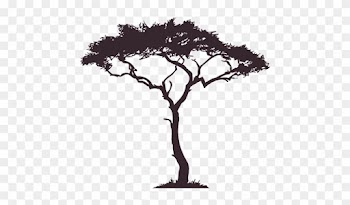 African Tree Decal - Trees In Africa Drawing