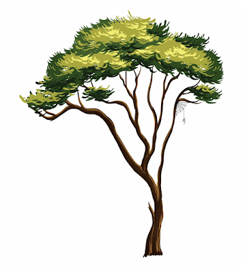 African Tree Png - Tree Africa Png Free PNG Images & Clipart ...