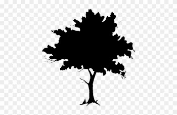African Tree Silhouette Png For Kids - Clip Art Tree Silhouette