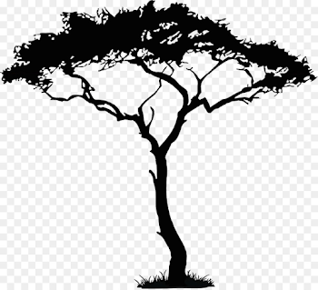 African Trees Png & Free African Trees.png Transparent Images ...