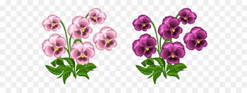 African violets Clip art - Pink Violets PNG Clipart 