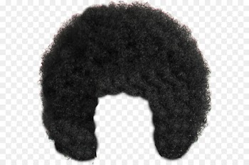 Afro-textured hair Wig - hair 
