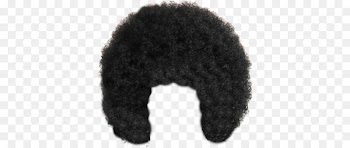 Afro Wig Hair Clip art - hair 