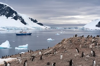 After climbing to the top of this very snowy hill on Danco Island in the Antarctic Peninsula, we were greeted with a full panorama across the bay. When you realise that the boat we were staying on was 147m long, it really made you realise just how monumental and huge this untouched continent is.