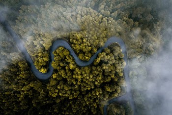 After having traveled long minutes, hours, the road of the volcano. Start our trip at 100 meters altitude, and exceed the clouds at 2000. I drive in a virgin forest road, desert, and shaped snake. Here we go for a photo, above the clouds.