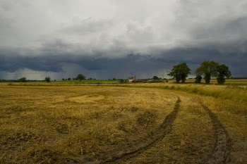 After_the_Harvest_and_Before_the_Storm.jpg