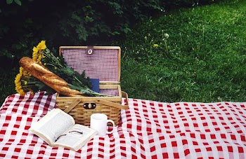 Afternoon Picnic