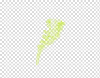 Agar.io Light Cell, others transparent background PNG clipart