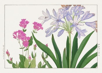 Agaranthus flower, Japanese woodblock art | Free Photo Illustration - rawpixel
