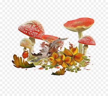agaric mushroom leaf anthurium plant