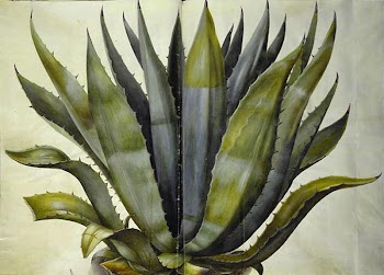 Agave americana (common agave) by Maria | Free Photo - rawpixel