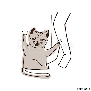 Aggressive cat scratching leg of its owner isolated on white background