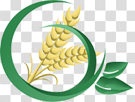 Agri Biostimulants 2019