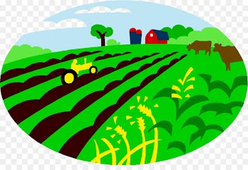 Agriculture, Agricultural Land, Farm, Green, Grass PNG