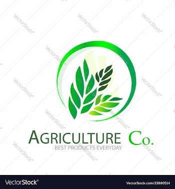 Agriculture comapny logo vector image