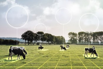 Agriculture IoT, smart farming technology | Free Photo - rawpixel