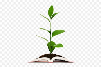 Agriculture Organic farming Agribusiness - business 