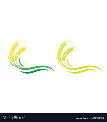 Agriculture wheat logo template icon design vector image