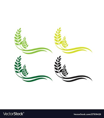 Agriculture wheat logo template icon design vector image