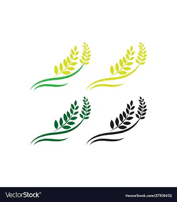 Agriculture wheat logo template icon design vector image