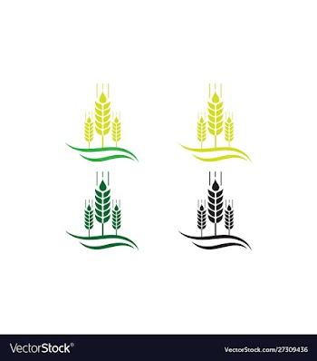 Agriculture wheat logo template icon design vector image