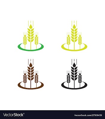 Agriculture wheat logo template icon design vector image
