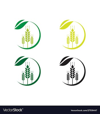 Agriculture wheat logo template icon design vector image
