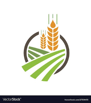 Agriculture wheat logo template icon design vector image