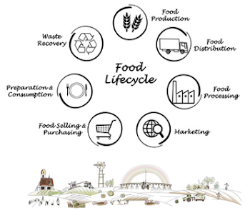 Agro-Food Manufacturing | Home Agro-Food