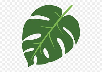 Agroforestry Around The World - Leaf Flat Design