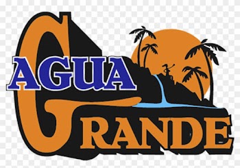 Agua Grande Logo - Palm Tree