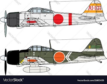 Aircraft color scheme vector image