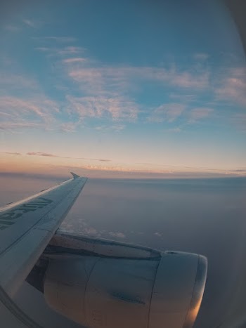 Aircraft Wing