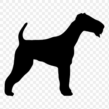 Airedale dog png sticker animal | Free PNG - rawpixel