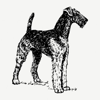 Airedale Terrier dog drawing, vintage | Free PSD - rawpixel