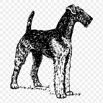Airedale Terrier png, dog sticker | Free PNG - rawpixel