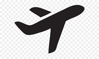 Airplane Cargo aircraft Flight ICON A5 - airplane 