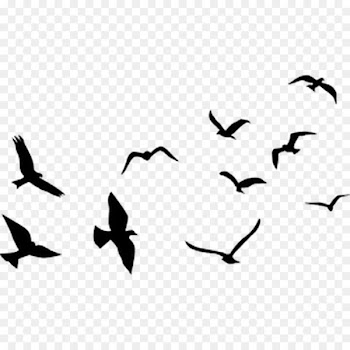 Airplane Flight Balloon Clip art - flying bird 