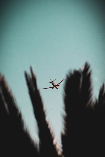 Airplane in Sky
