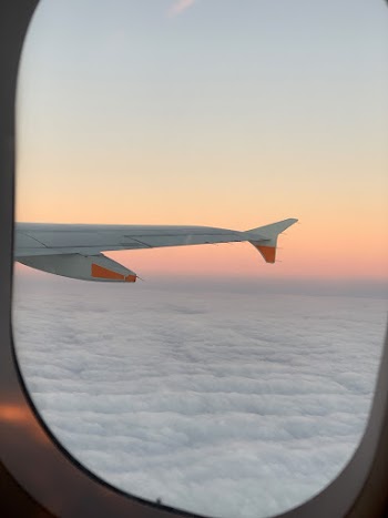 Airplane Wing