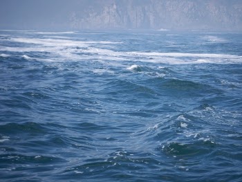 ajenyon_100_1107.JPG