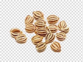 Ajwain Fruit , seeds transparent background PNG clipart