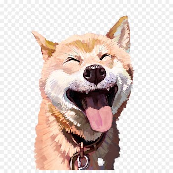 Akita Cat Husky Pet Illustration - Happy Husky picture material 