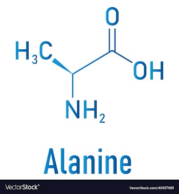 alanine or l-alanine ala a amino acid molecule